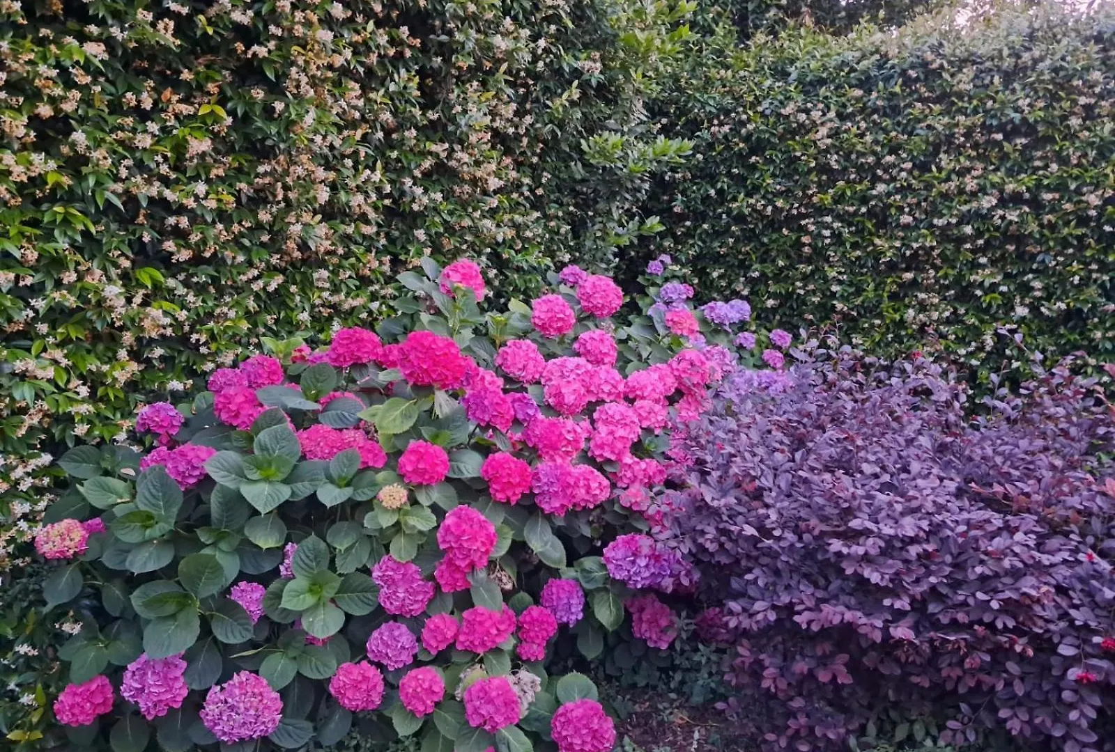 Borgo Dei Duchi Bed and Breakfast Rivarolo Mantovano Bed & Breakfast